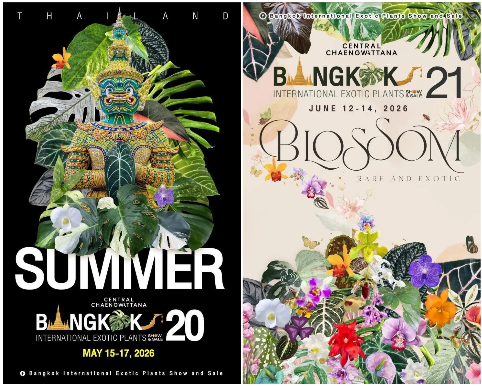 Список выставок в Бангкоке и Китае / List of exhibitions in Bangkok and China 2026