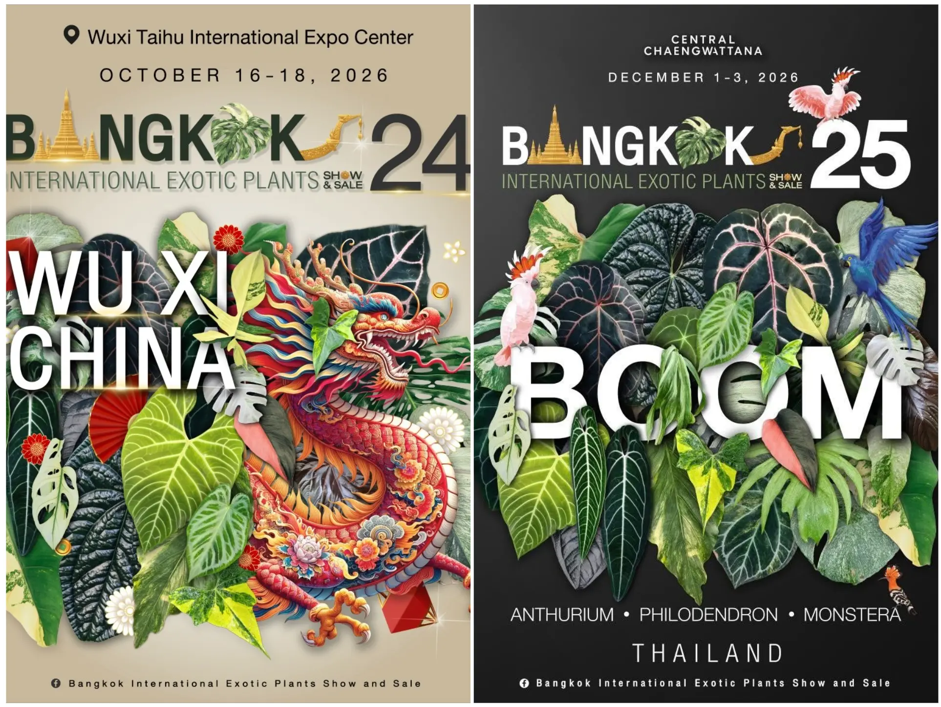 Список выставок в Бангкоке и Китае / List of exhibitions in Bangkok and China 2026
