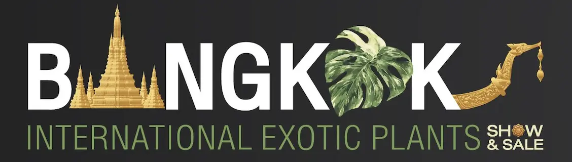 Список выставок в Бангкоке и Китае / List of exhibitions in Bangkok and China 2026