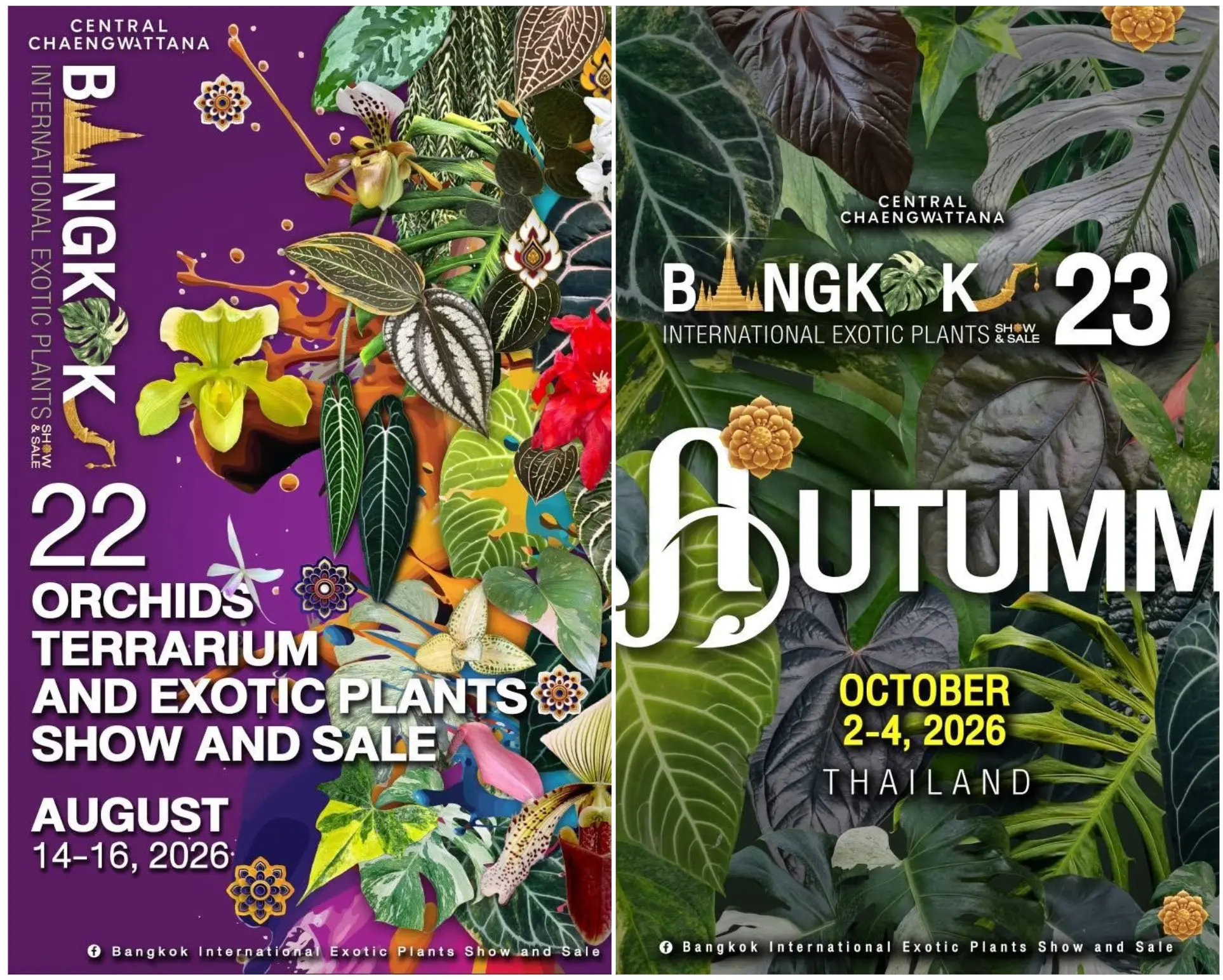 Список выставок в Бангкоке и Китае / List of exhibitions in Bangkok and China 2026